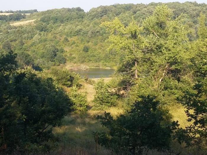 Ентусиасти зарибиха язовир Делейна край едноименното село във Видинско Преди