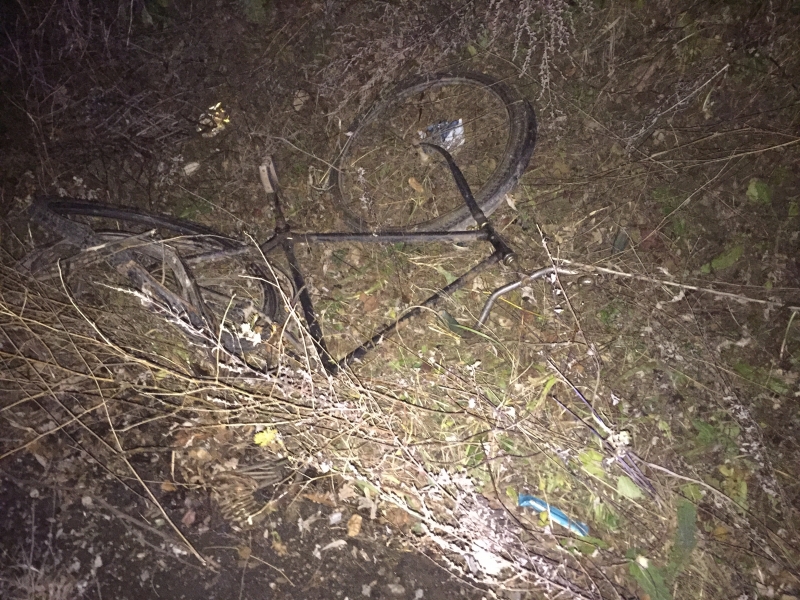 Възрастна жена от Враца е осъдена за това че блъснала