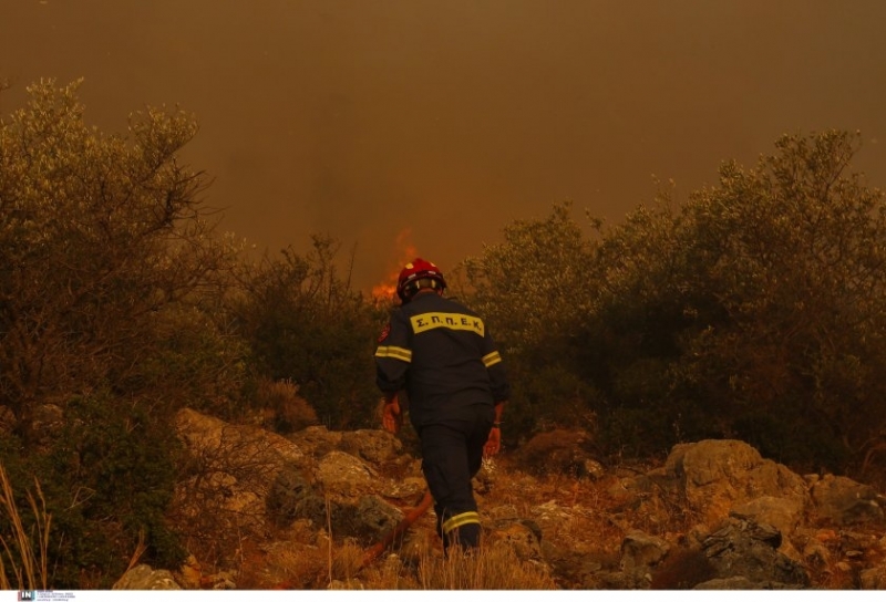 Току що излязох на балкона пълно е с пепел и миризмата