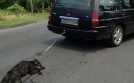 Побеснял мъж влачи с колата си куче в белослатинско село
