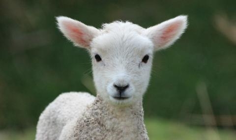 Вчера в полицията е подаден сигнал за кражба от жител