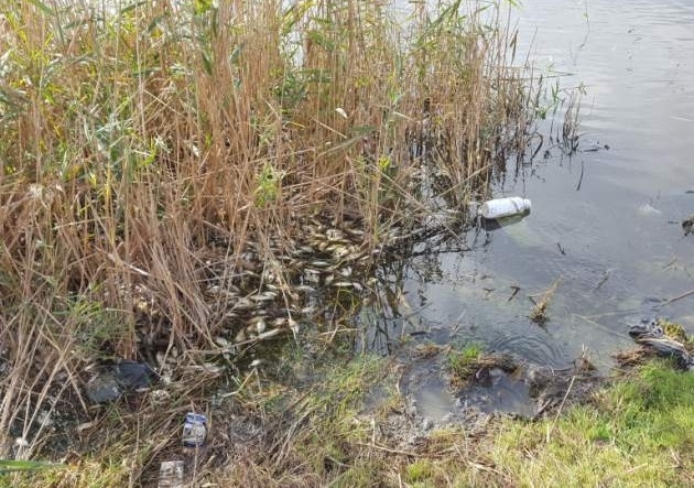 Експерти от Регионалната инспекция по околната среда и водите във