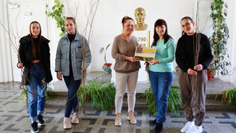 Общо 200 паркови дръвчета бяха засадени в Лом и региона