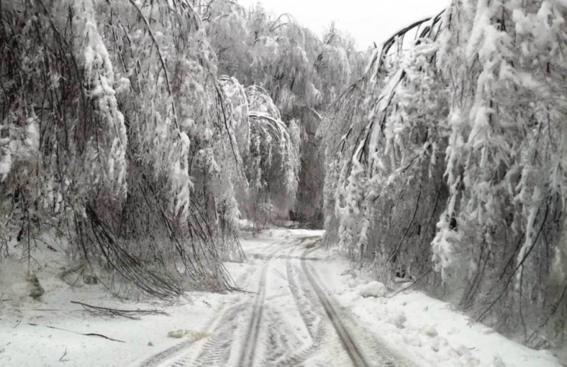 Тежкият сняг който от часове вали в Монтанско затвори пътища