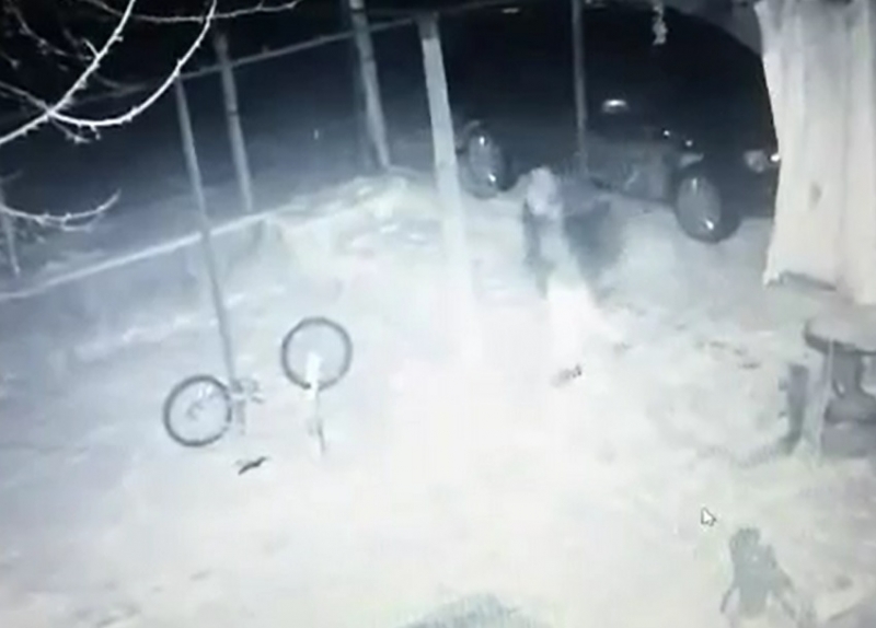 Нагъл крадец е влязъл в двора на къща в Криводол