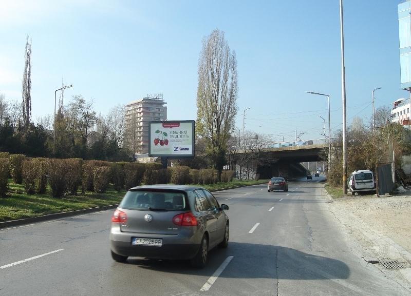 35 годишна жена е скочила от моста на бул Витоша и