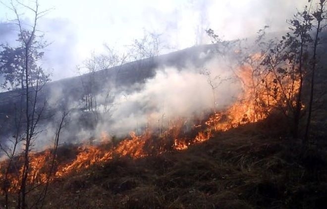 Начало на пожароопасния сезон обявиха в Югозападна България Горите и селските