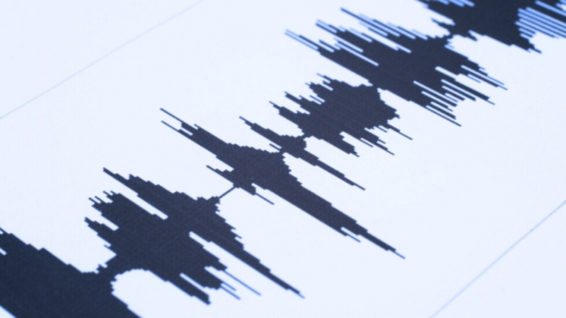 Слабо земетресение е регистрирано в района на Пазарджик Това сочи