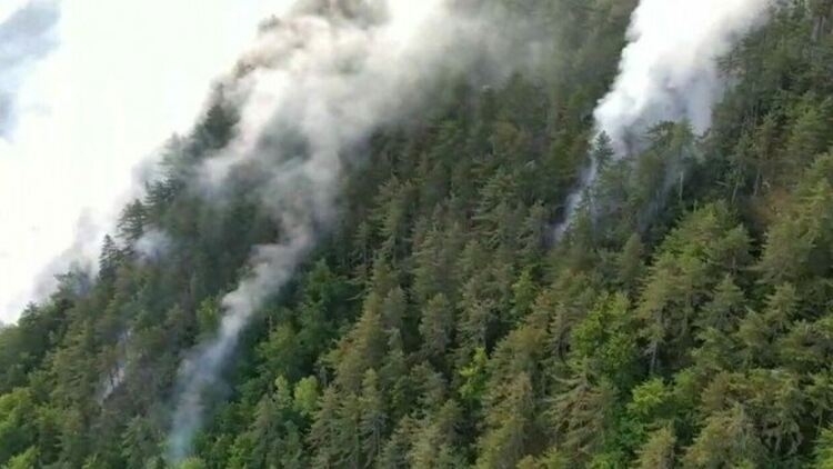 Пожарът над родопското село Югово се разгоря с нова сила