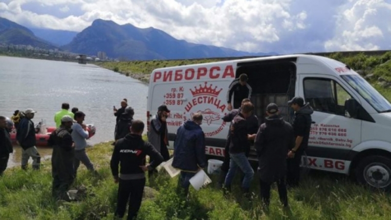 Язовирът край Враца беше зарибен с над 10 000 бели