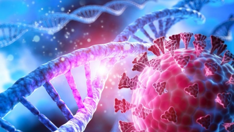 Учените отдавна търсят причините за тежките хронични последици от COVID 19