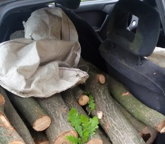 Полицаи са задържали бракониери на дърва в монтаското село Портитовци