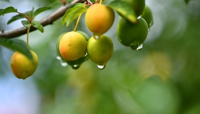 Днес ще бъде предимно слънчево Следобед отново ще се развива