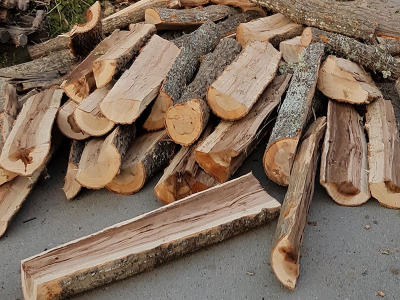Ченгета спипали бракониер с дърва за огрев в монтанското село
