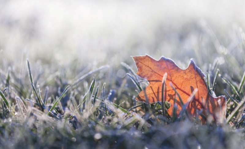 Днес ще е облачно Около обяд от югозапад ще започнат