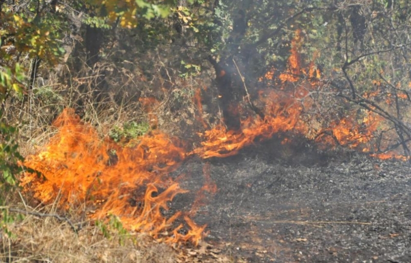 Над 300 дка пожари в сухи треви и храсти са
