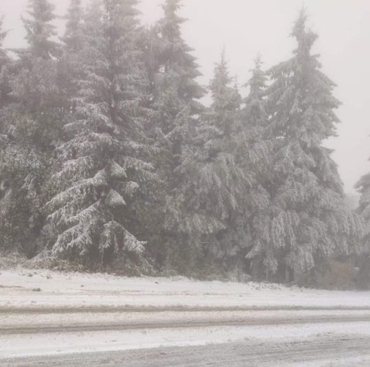 След обилните снеговалежи над прохода Петрохан вчера вече се е