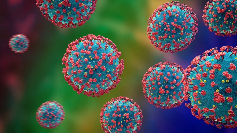 51 са новите случаи на коронавирус у нас Няма починали