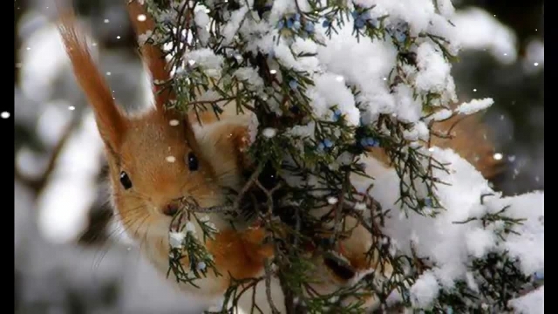Днес ще бъде предимно слънчево Ще духа умерен северозападен вятър