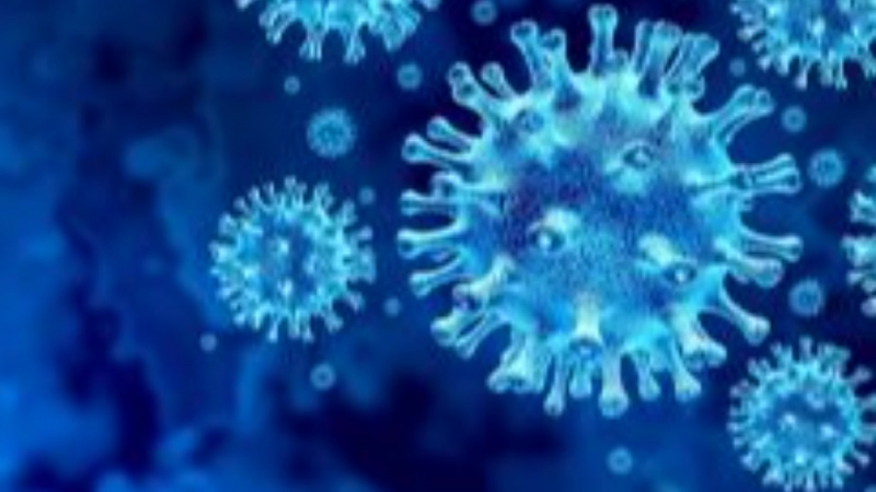 За последните три дни има регистрирани общо 28 лица с