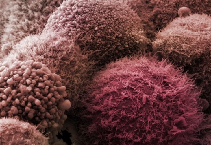 Учените все още не могат да създадат лекарство което да