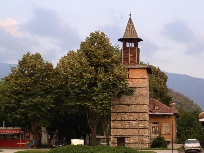 В Берковица премахнаха опасно дърво, заплашващо Часовниковата кула