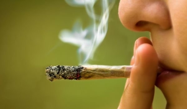 Хванаха двама пушили трева в двора на забавачница в Монтана