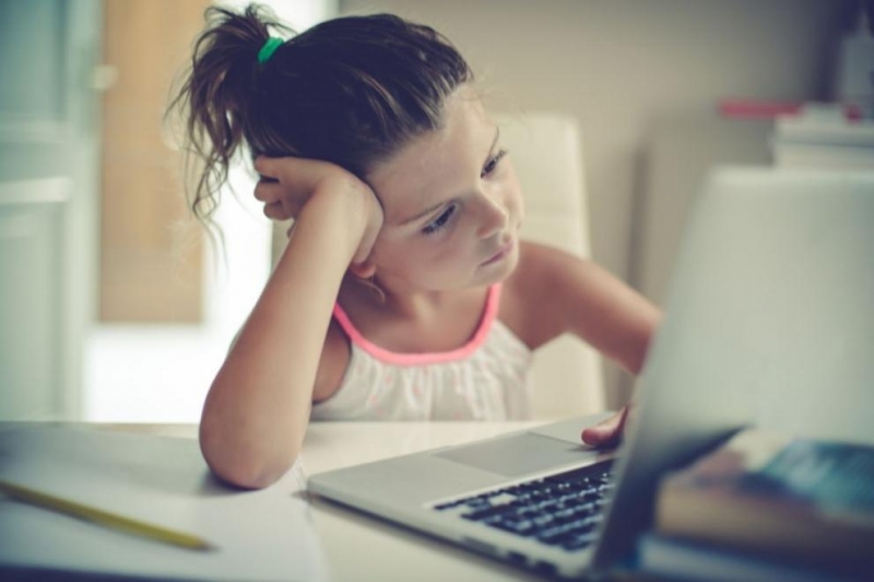 За гавра от страна на Министерството на образованието и науката