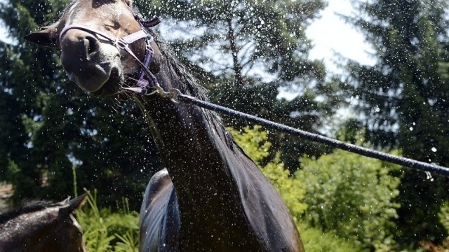 Осмокласник е в кома и с опасност за живота в