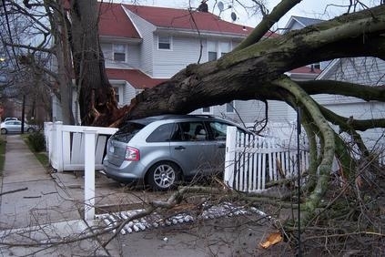 Най малко седем души са загинали при преминаването на урагана Майкъл