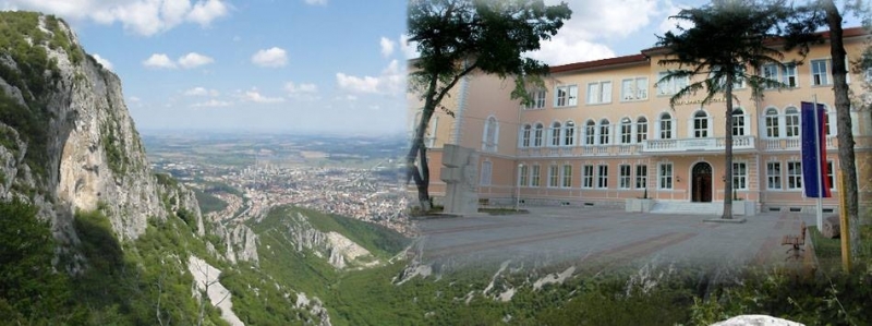 В условията на обучение в електронна среда от разстояние Средно