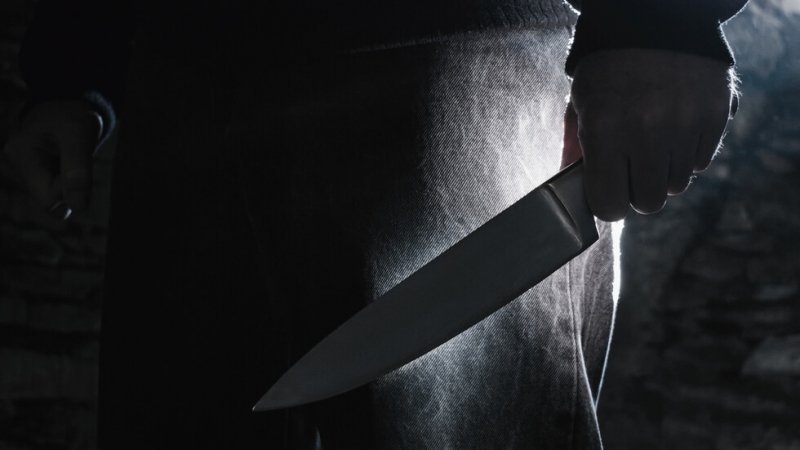 Психично болен уби с нож мъжа на районната съдийка от