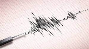 Земетресение с магнитуд 4 5 бе регистрирано днес в югоизточния турски