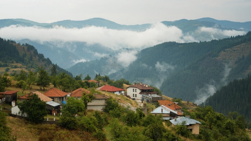 Нито една община няма положителен естествен прираст през 2021 г