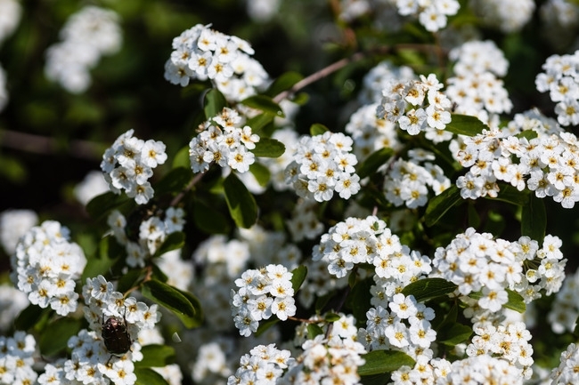 Днес ще е слънчево и топло Ще духа до умерен