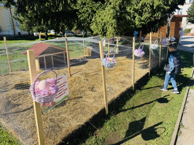 Декоративни зайчета радват малки и големи пред общината във Враца /снимки/