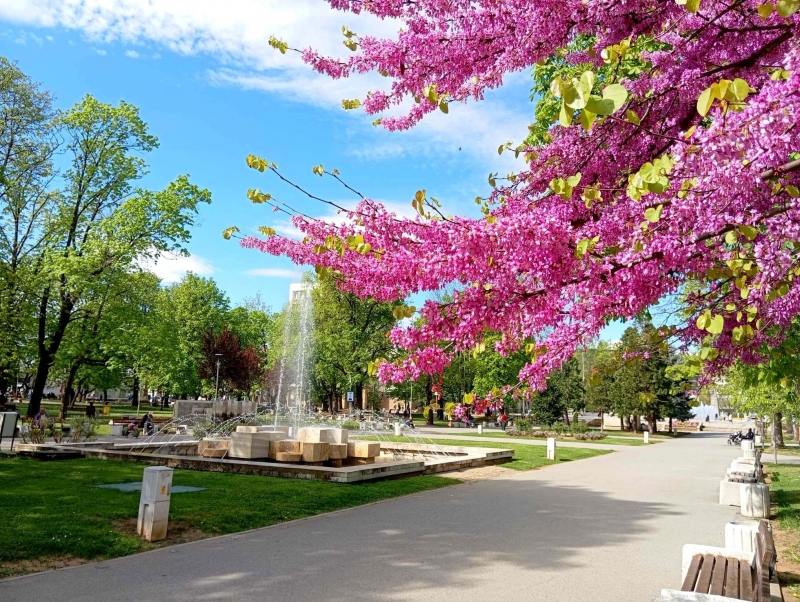 Традиционно месец май е един от най богатите на културни събития