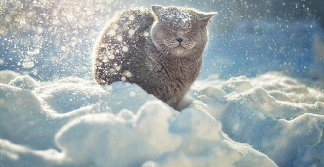 Зимата ще натовари финансите ни поне с бон и половина