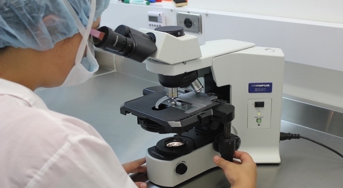 Учени от Станфордския университет установиха че измирането на клетките е