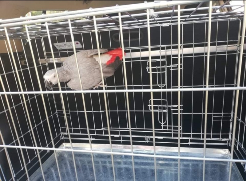 Експерти от РИОСВ Враца извършиха извънредна проверка на обект за развъждане