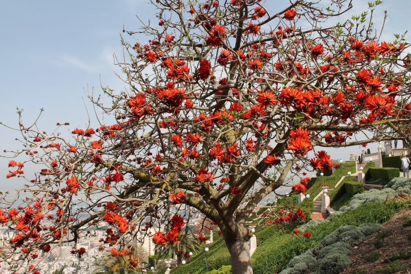 Нестабилно с валежи над нормата ще е времето през май