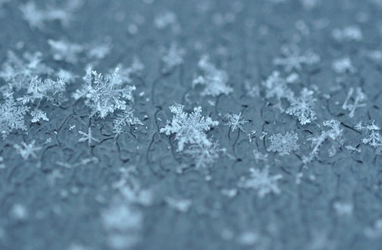 През следващото денонощие времето ще се задържи облачно През нощта