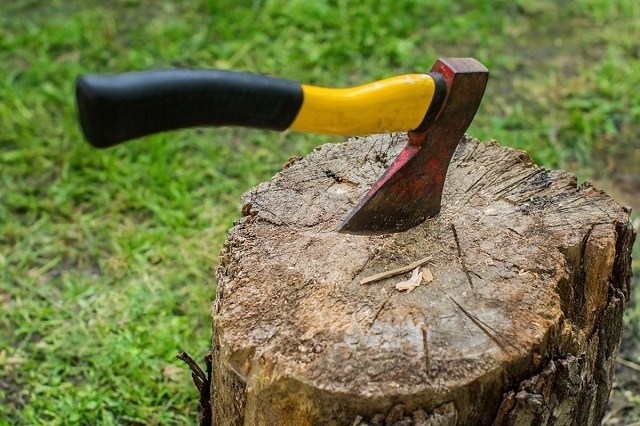 Полицията излезе с подробности за простреляния край Бяла Слатина циганин