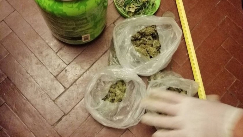 Антимафиоти в София разбиха високотехнологична оранжерия за отглеждане на канабисови