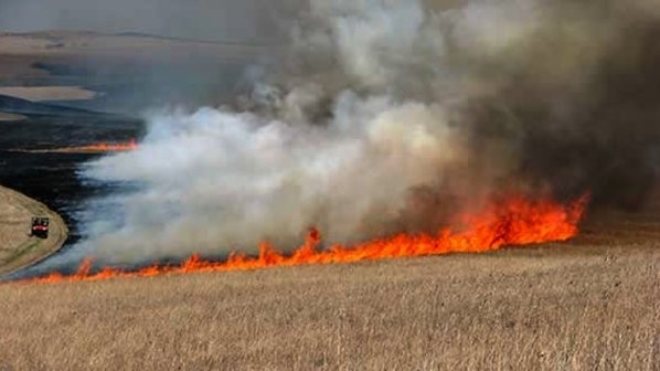 Пожар е унищожил 100 декара пшеница на нива в Монтанско