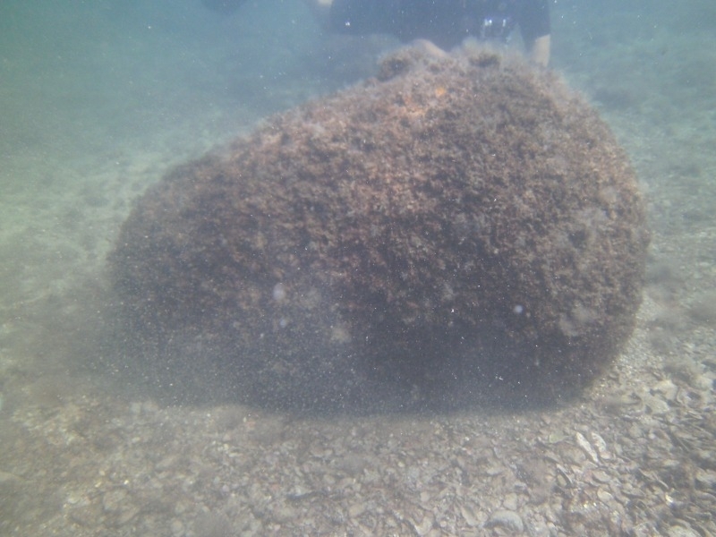 Специализиран екип от Флотилия бойни и спомагателни кораби Варна