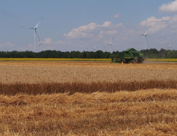 Крайната продукция в селското стопанство през 2018 г възлиза на