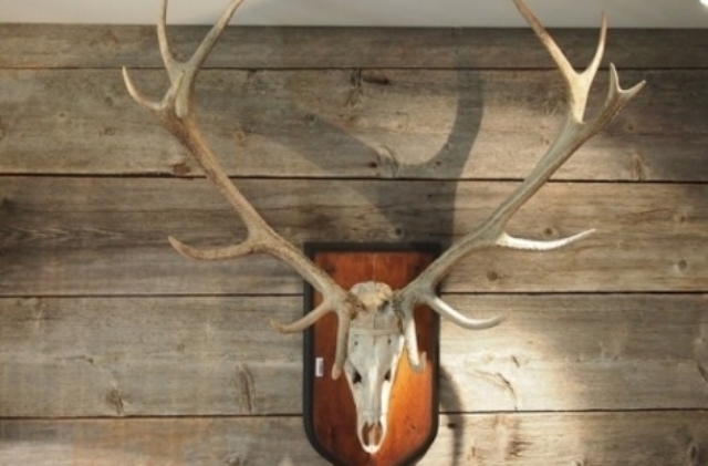 Служители на реда са намерили и иззели ловни трофеи от