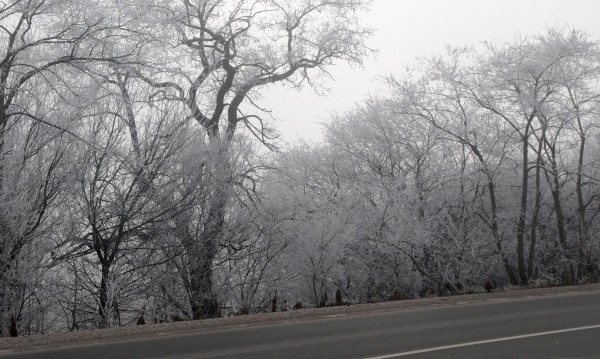 Камион с дърва е паднал от моста при местността Паметниците