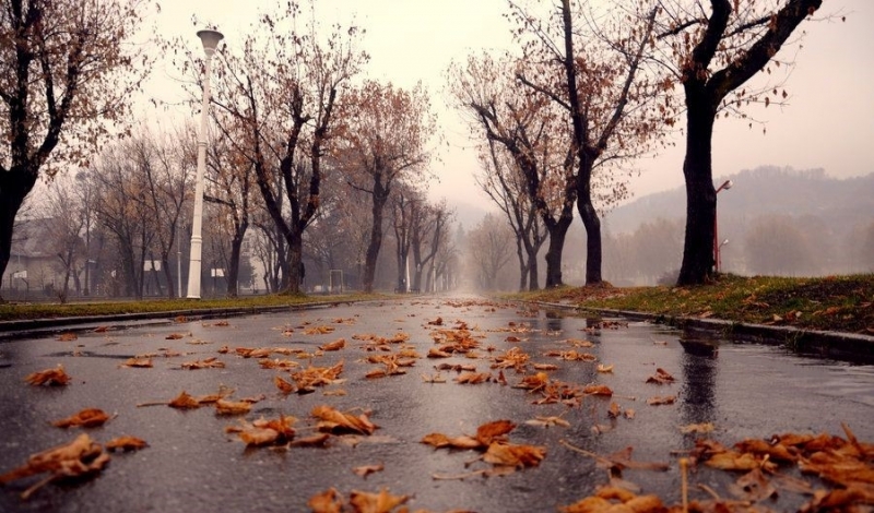 През деня, главно в Дунавската равнина и Добруджа валежите временно